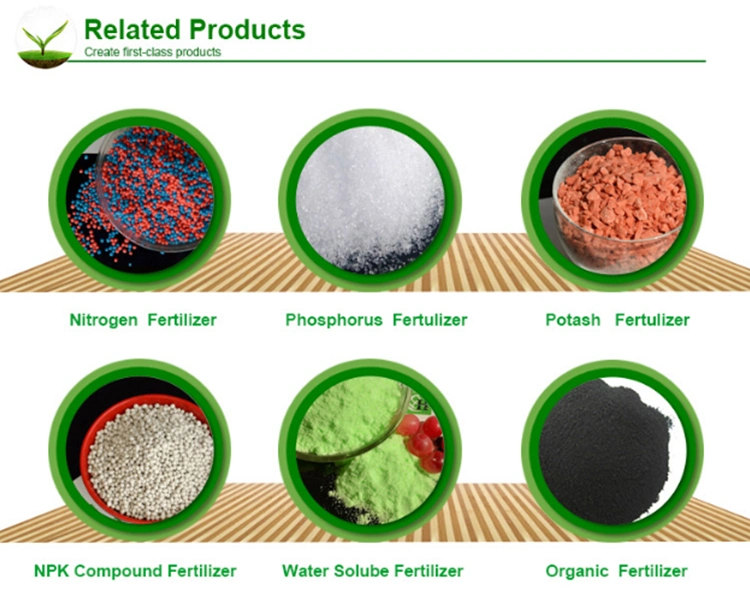 Agriculture Fertilizer Grade Boron Liquid Fertilizer for Spray Foliar